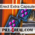 Erect Extra Capsule 03